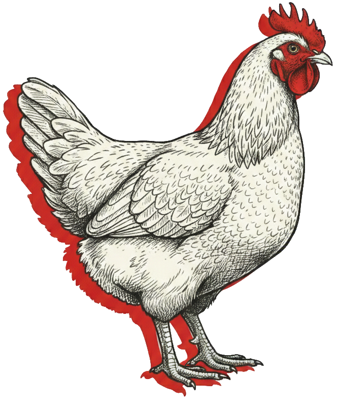 Winola Farm Chicken